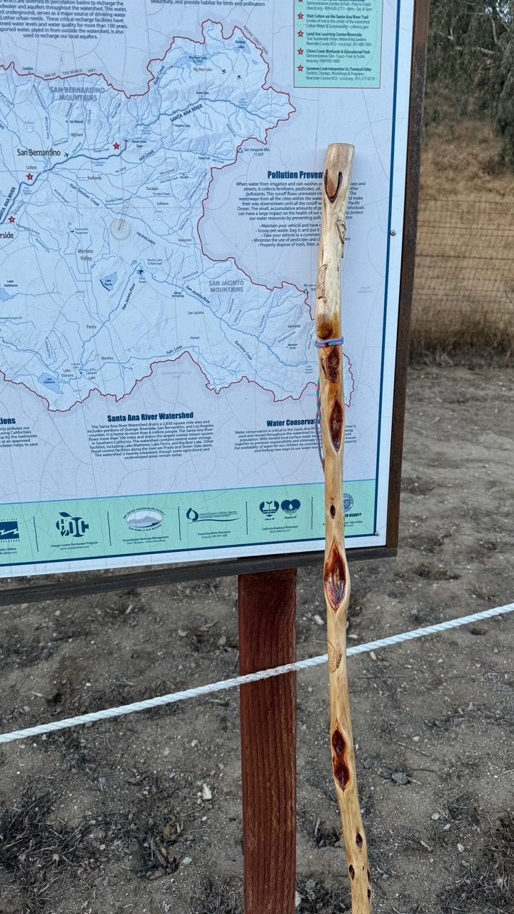 A pale natural walking stick with dark knots leaning beside a trail map at a foothill trailhead.