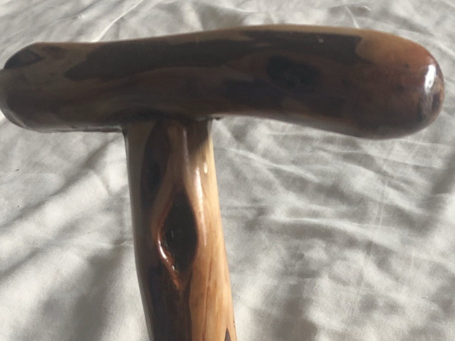 The polished T-handle of the dark cane, filling the frame.