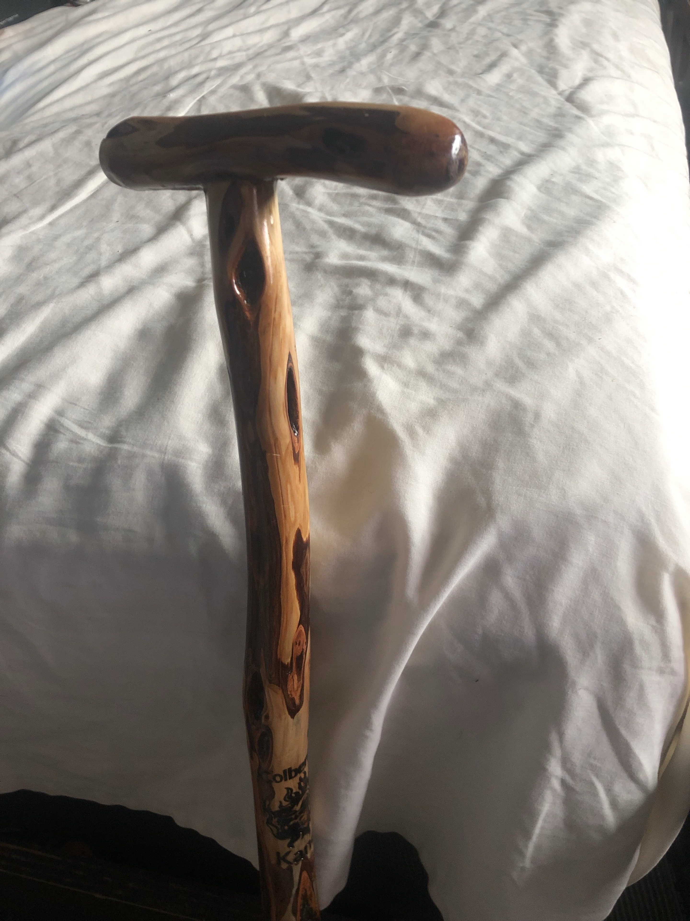 Close view of a polished handmade cane with a dark T-shaped handle and contrasting knotty wood grain.