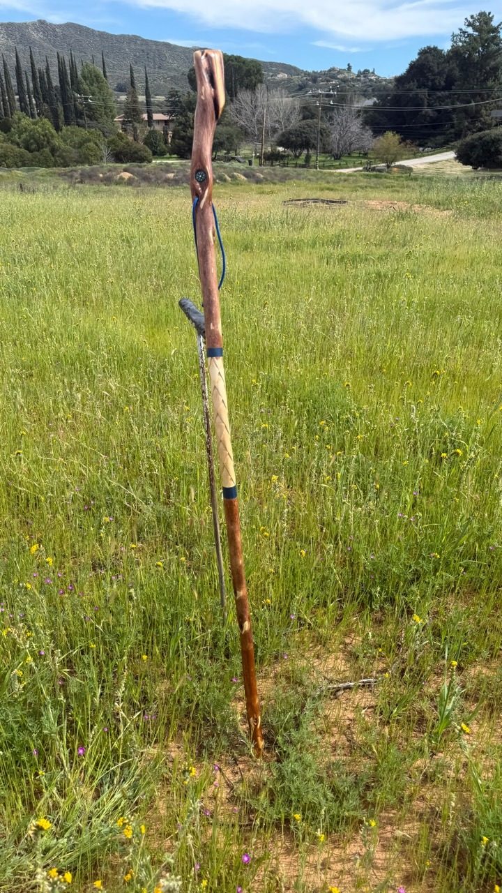 A full-length polished walking stick with a pale carved spiral section and blue wrist loop standing in a spring meadow.