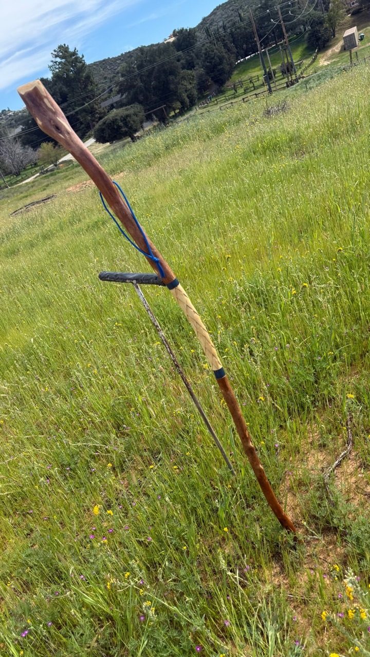 A finished walking stick with carved pale spiral section, blue wrist loop, and polished wood leaning across a green meadow.